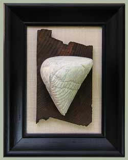 A photo of Soapstone Owl #18C by Clarence Cameron of Madison, Wisconsin. It is a framed, hanging piece