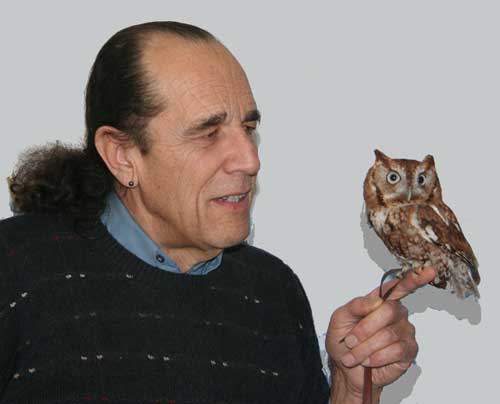 This is Hubert Alfred, a Screech Owl that is totally imprinted on humans. Someone raised him as a pet, which is totally illegal.